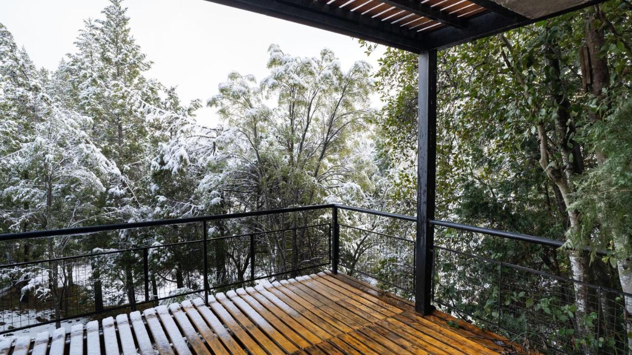 Entre Arboles Aparts Apartment El Bolson